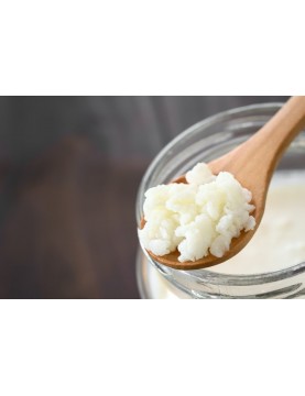 Acheter Kéfir de lait - cultivé dans du lait Bio
