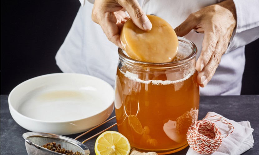 recettes kefir et kombucha